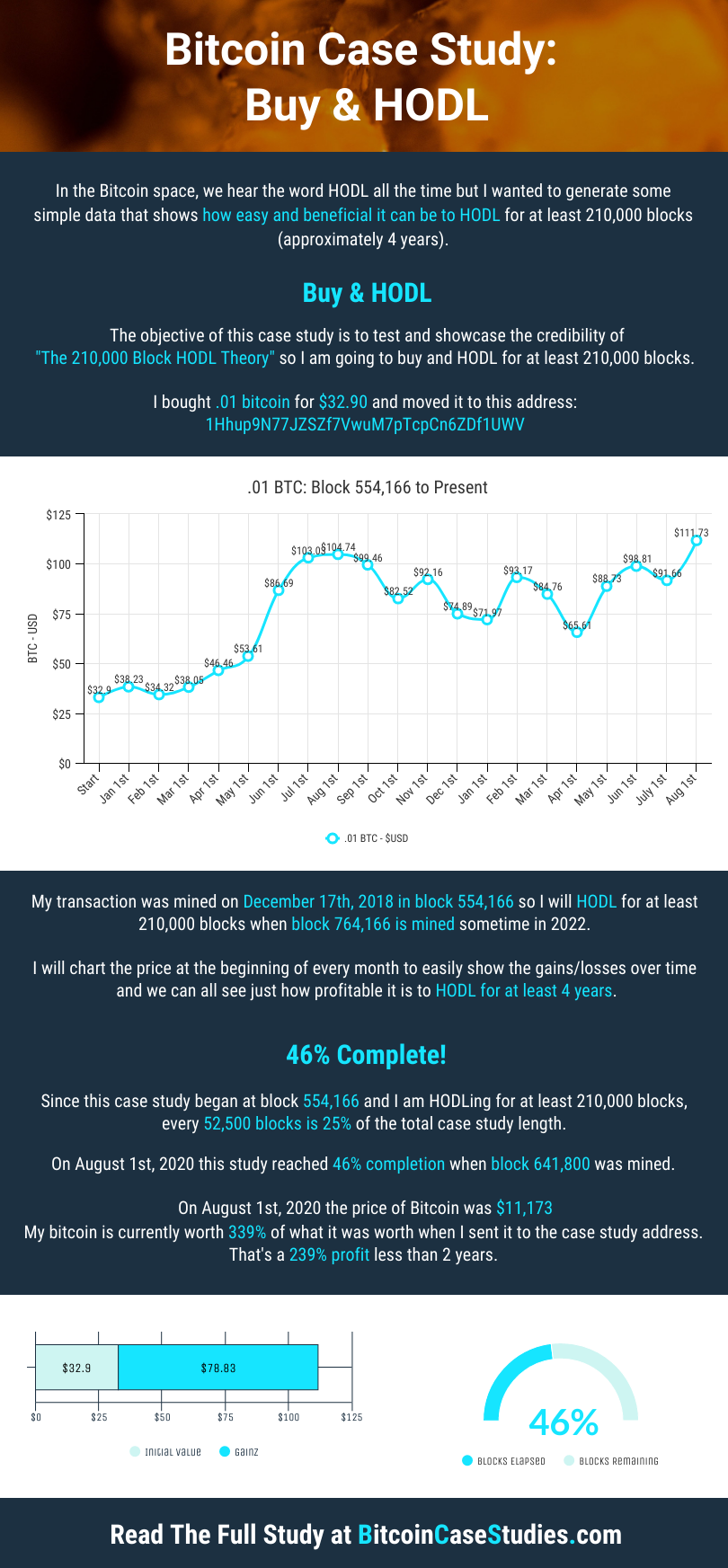 Bitcoin Case Study: Buy & HODL